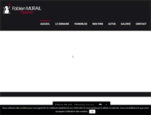 Tablet Screenshot of fabienmurail.com